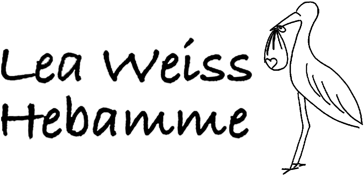 Das Logo von dbw media zeigt einen modernen Schriftzug, der Professionalität und Kreativität in der digitalen Werbebranche ausstrahlt